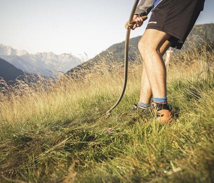 Sommer auf der Kumpflalm