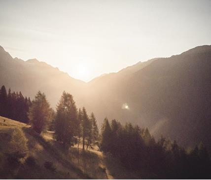 Autumn at the Kumpflalm mountain pasture