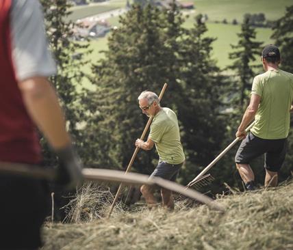 Working on the Kumpflalm mountain pasture