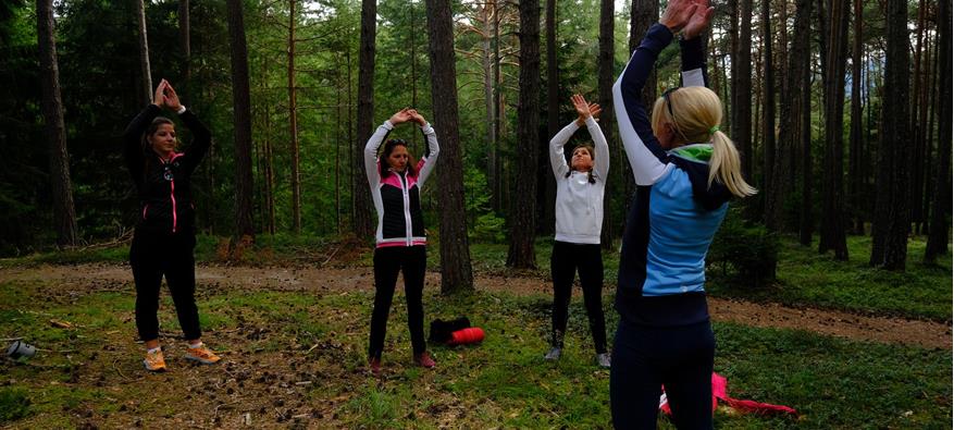 Meditation im Wald