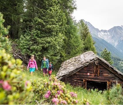 Summer hike