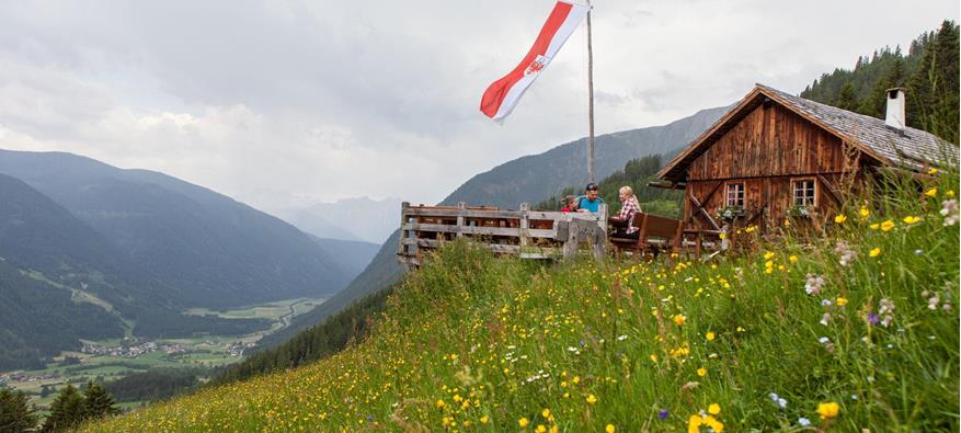 On the Kumpflalm mountain pasture