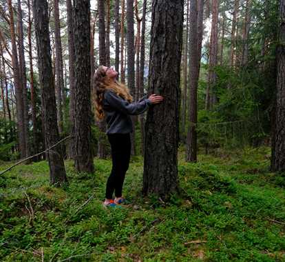 Forest bathing